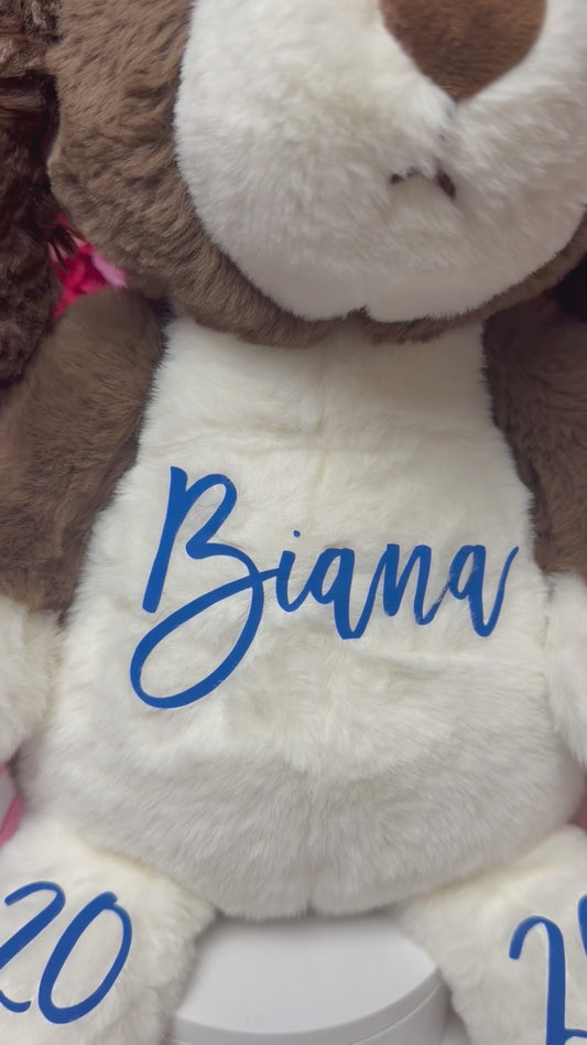 Grad Bear & Frame Set